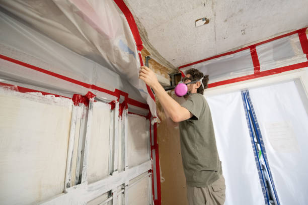 Best Real Estate Mold Inspection  in Bixby, OK
