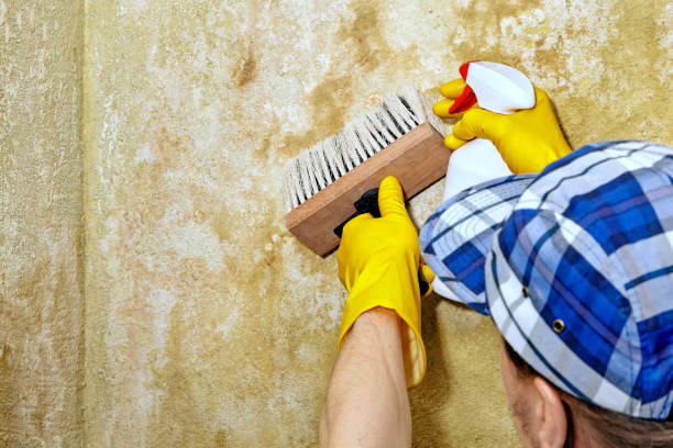 Best Mold Prevention Services  in Bixby, OK