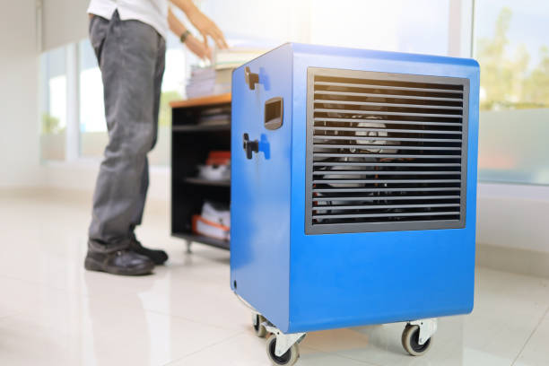 Best Forensic Mold Investigation  in Bixby, OK