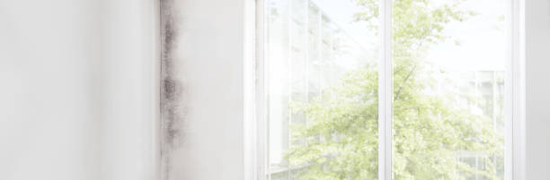 Trusted Bixby, OK Mold Removal Experts
